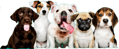 Perros felices Lycan